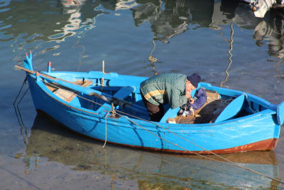 SAVELLETRI di FASANO (BR) 29