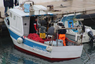 SAVELLETRI di FASANO (BR) 31