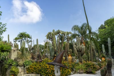 GIARDINI RAVINO - FORIO D'ISCHIA 3
