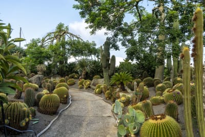 GIARDINI RAVINO - FORIO D'ISCHIA 6