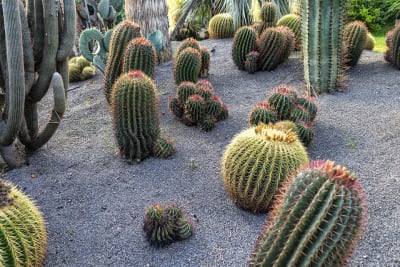 GIARDINI RAVINO - FORIO D'ISCHIA 8