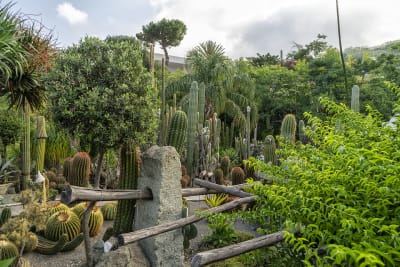 GIARDINI RAVINO - FORIO D'ISCHIA 13