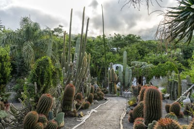GIARDINI RAVINO - FORIO D'ISCHIA 14