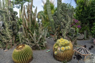 GIARDINI RAVINO - FORIO D'ISCHIA 15