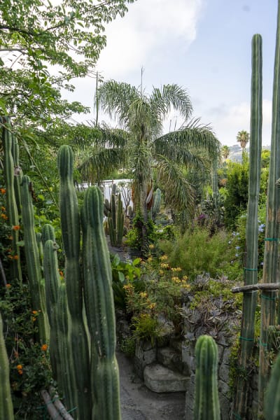 GIARDINI RAVINO - FORIO D'ISCHIA 27