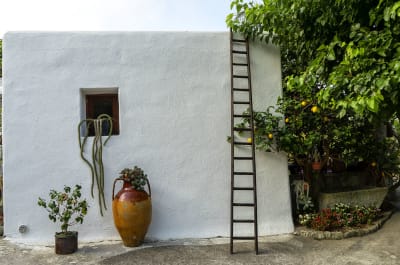 GIARDINI RAVINO - FORIO D'ISCHIA 31