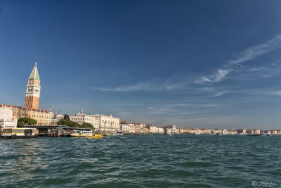 VENEZIA 2019 25
