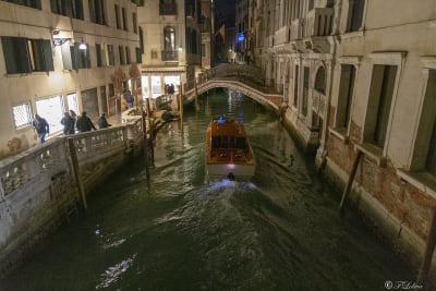 VENEZIA 2019 33