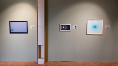 CONGIUNTI mostra museale Castello Sforzesco di Novara 8 settembre 2022 6