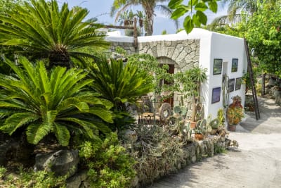 ICA - ischia Contemporany Art - 13 luglio 2020 6