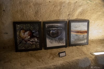 OPERA VINCITRICE DEL PREMIO FOTOGRAFIA