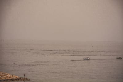 mare,mare,mare... 5