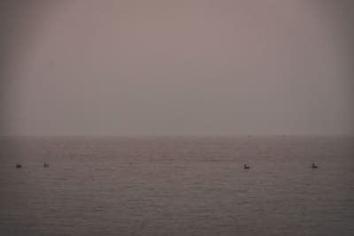 mare,mare,mare... 6