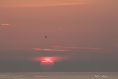 Alba al mare 18