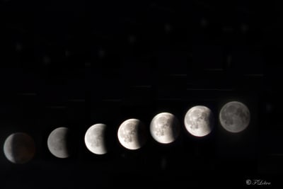 FASI DELLA FINE DELL'ECLISSE