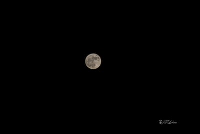 Super luna 1