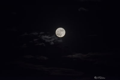 Super luna 4