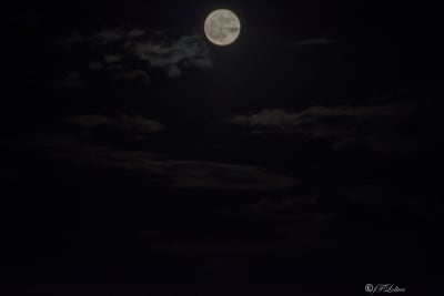 Super luna 5