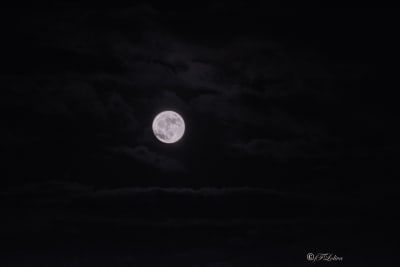 Super luna 6