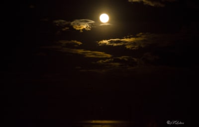 Super luna 7
