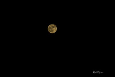 Super luna 8