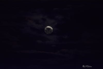 Super luna 9
