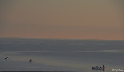 Barche all'alba 6
