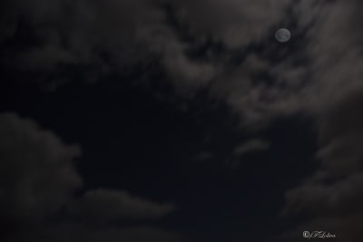 Luna piena tra le nuvole 3