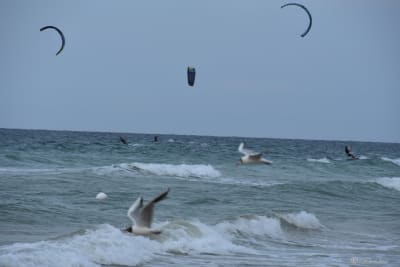Kitesurf 3