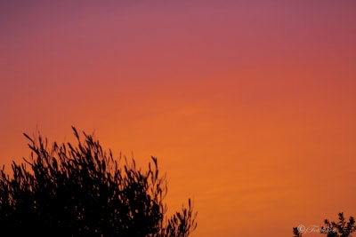 questa sera è così