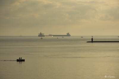 TARANTO 29
