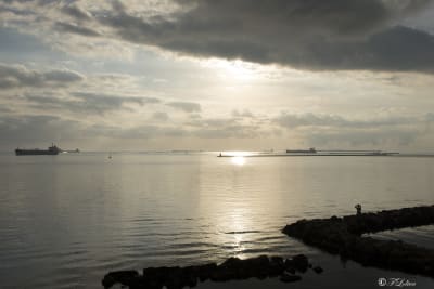 TARANTO 33