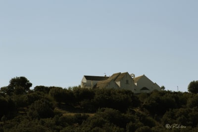 CHIESA DI S.MARIA DEL BARSENTO - NOCI (BA) 19