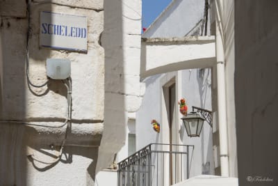 CISTERNINO (BR) 17