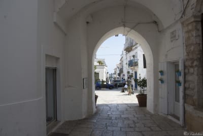 CISTERNINO (BR) 19