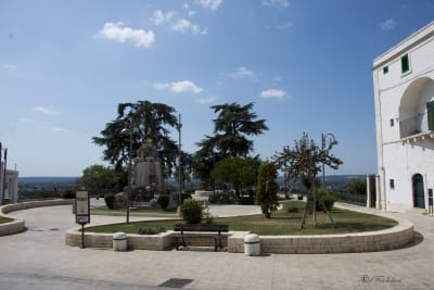 CISTERNINO (BR) 23