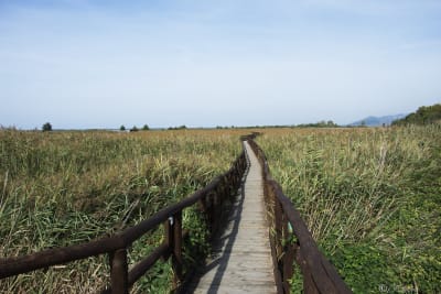 LAGO DI MASSACIUCCOLI 9