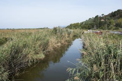 LAGO DI MASSACIUCCOLI 11
