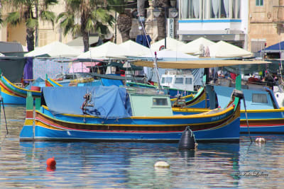 BARCHE DI MALTA 1