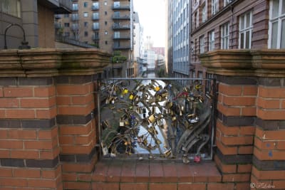 PER LE STRADE DI MANCHESTER 5