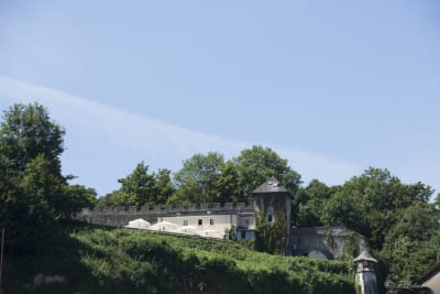 SALISBURGO 29