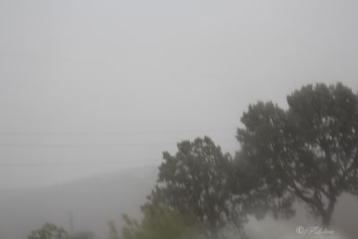 PRIMI SEGNALI DI AUTUNNO