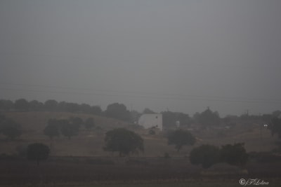 PRIMI SEGNALI D'AUTUNNO 4