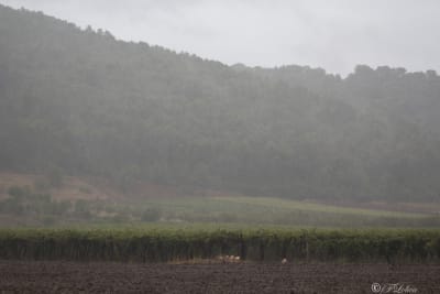 PRIMI SEGNALI D'AUTUNNO 6