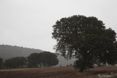 PRIMI SEGNALI D'AUTUNNO 7