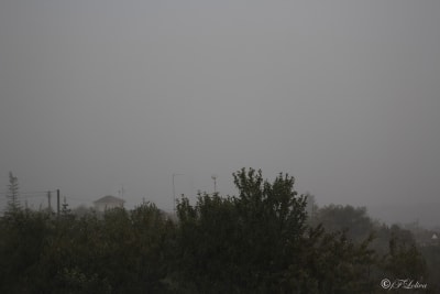 PRIMI SEGNALI D'AUTUNNO 8