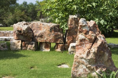 UN POMERIGGIO IN CAMPAGNA ( Valle dItria) 6