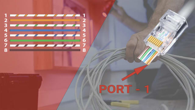 תרשים סדר הצבעים בחיווט CAT6 לפי תקן T568B ותקע RJ45 מחובר לכבל רשת