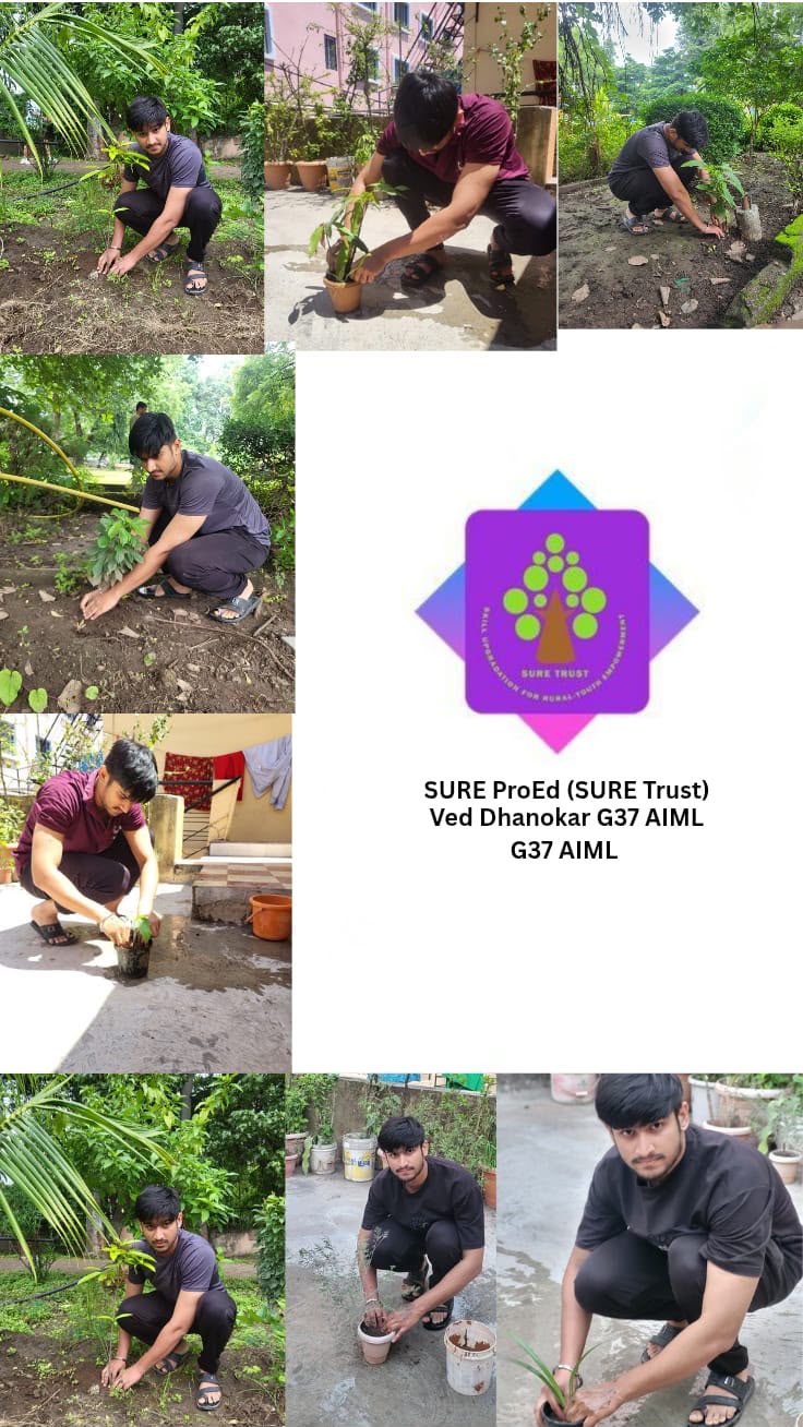 VED DHANOKAR