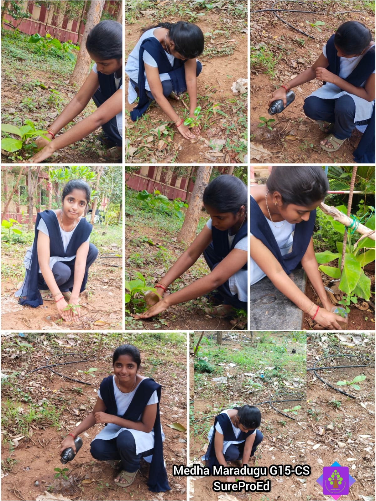 MEDHA MARADUGU
